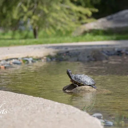 Апартхотел Cascadas Family 4*