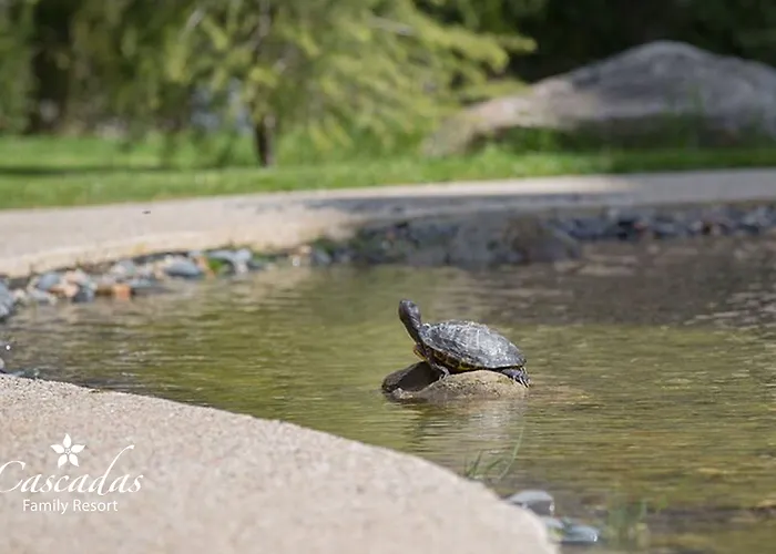 Hotel apartamentowy Cascadas Family 4*